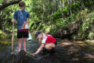 Stream bed Composition